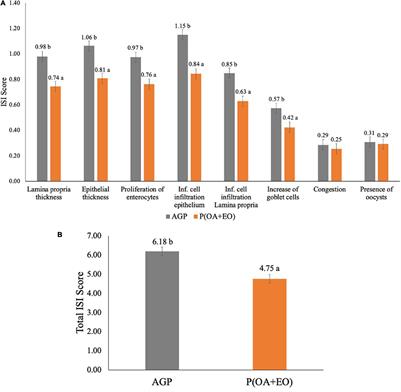 Protected Organic Acid and Essential Oils for Broilers Raised Under Field Conditions: Intestinal Health Biomarkers and Cecal Microbiota